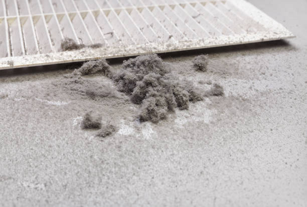 Best Air Duct Mold Removal  in Lexington, WA